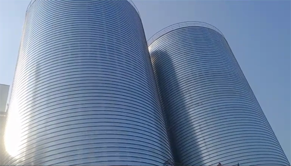 饶平2座混凝土高架卷板仓